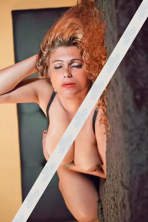 Acompanhante-Travestis Loira Sexi Poliana-Porto